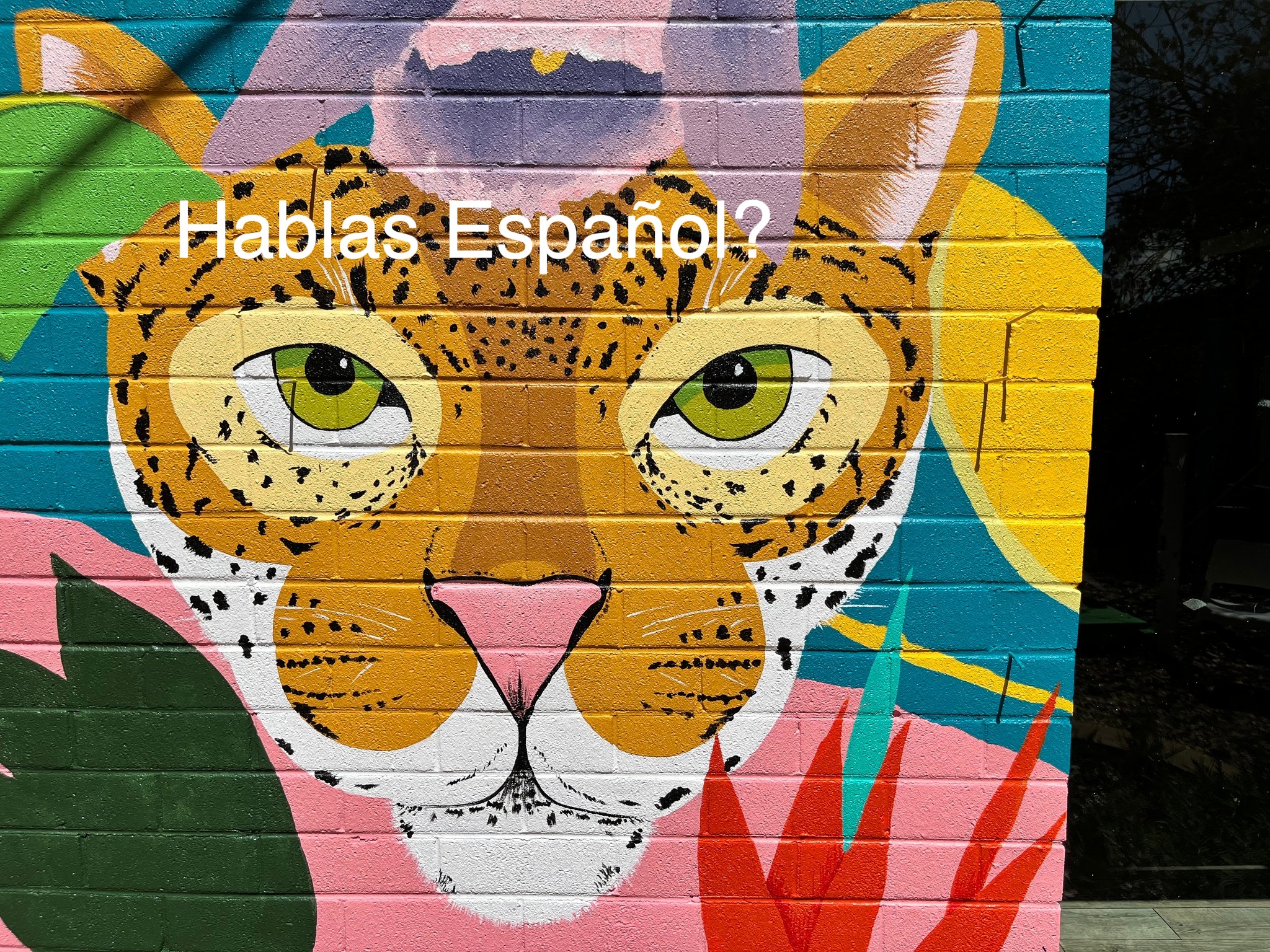 hablas1.jpg